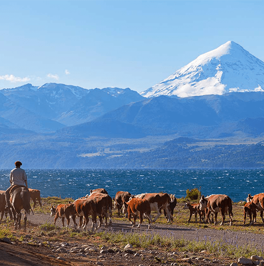 Argentina | Destination | Dragonfly Traveller