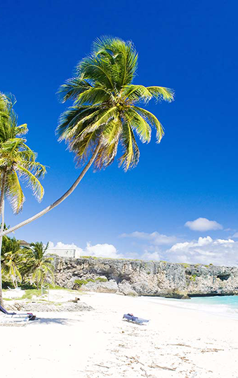 Barbados | Destination | Dragonfly Traveller