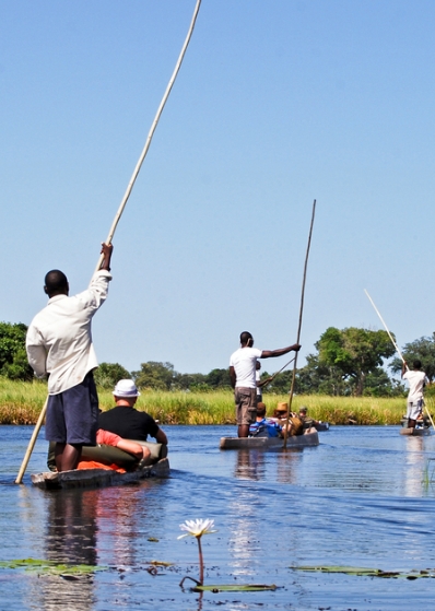 Botswana | Destination | Dragonfly Traveller