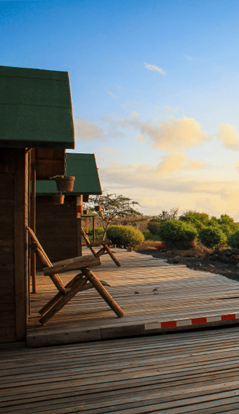 Galapagos | Destination | Dragonfly Traveller