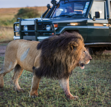 Kenya | Destination | Dragonfly Traveller