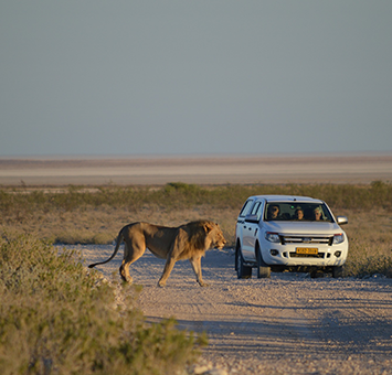 Namibia | Destination | Dragonfly Traveller