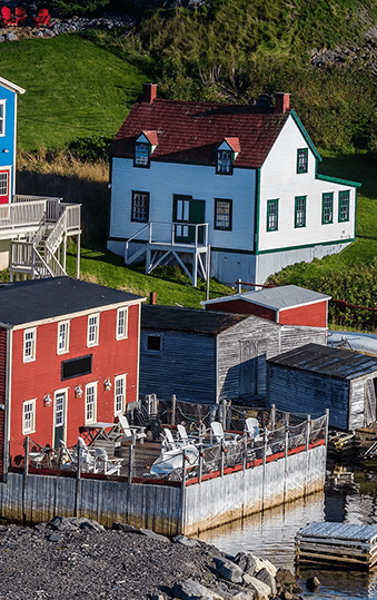 Newfoundland | Destination | Dragonfly Traveller