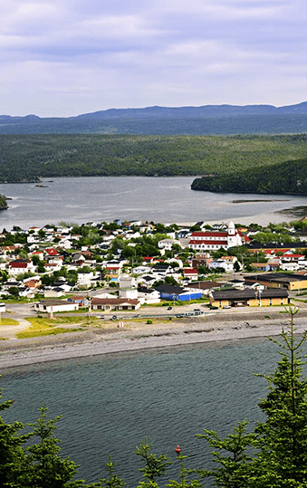 Newfoundland | Destination | Dragonfly Traveller