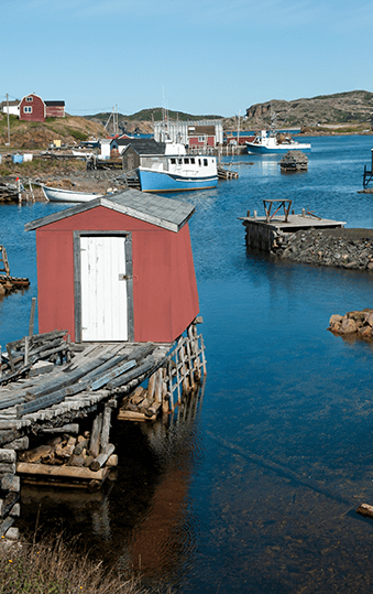 Newfoundland | Destination | Dragonfly Traveller