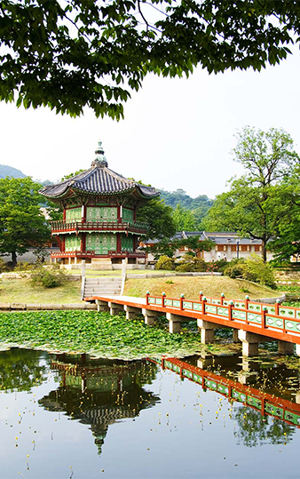 South Korea | Destination | Dragonfly Traveller