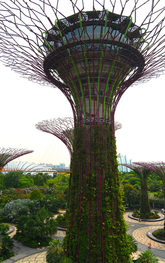 Singapore | Destination | Dragonfly Traveller