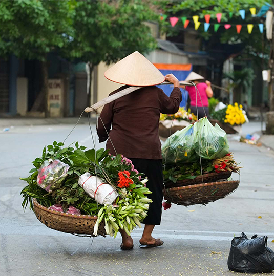 Vietnam | Destination | Dragonfly Traveller