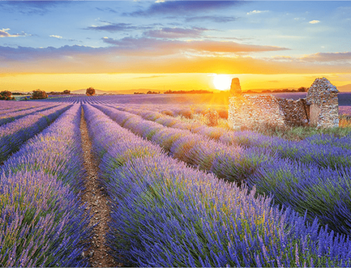 12 Day Itinerary to tour Provence