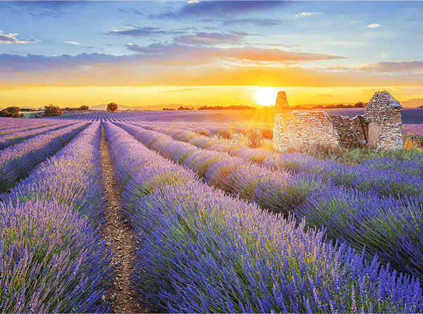 12 Day Itinerary to tour Provence | Blogs | Dragonfly Traveller