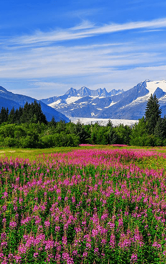 Alaska | Destination | Dragonfly Traveller