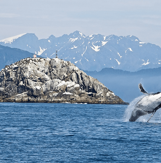 Alaska | Destination | Dragonfly Traveller