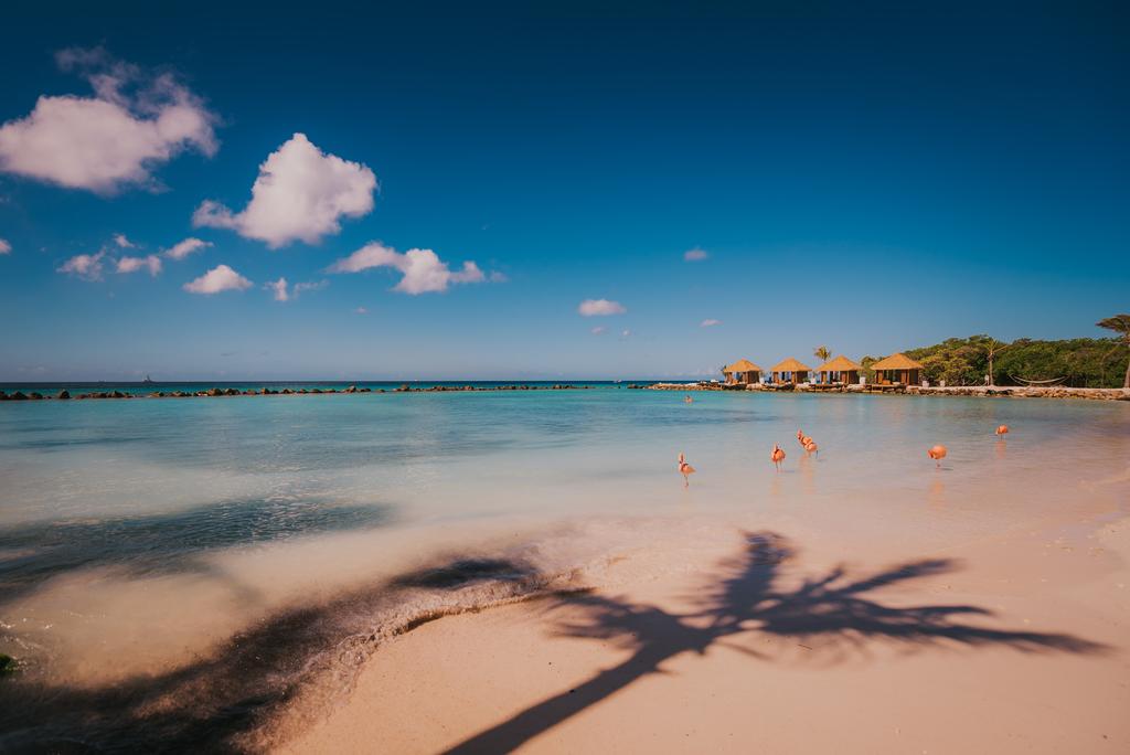 9 Of the Best Value Caribbean Destinations for Your Winter Break | Blogs | Dragonfly Traveller