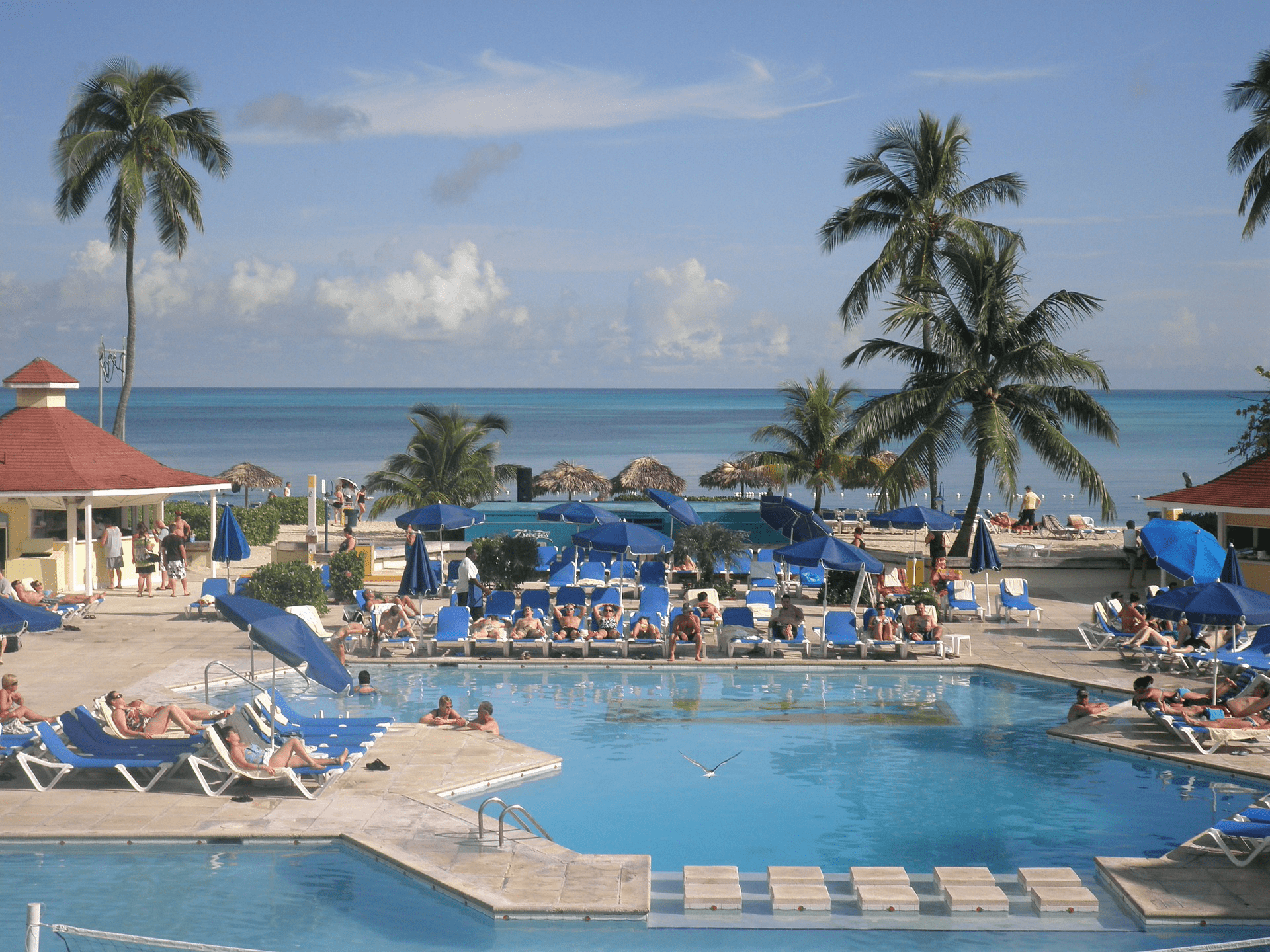 Bahamas | Destination | Dragonfly Traveller