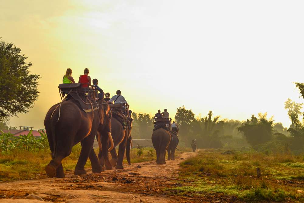 Cambodia | Destination | Dragonfly Traveller