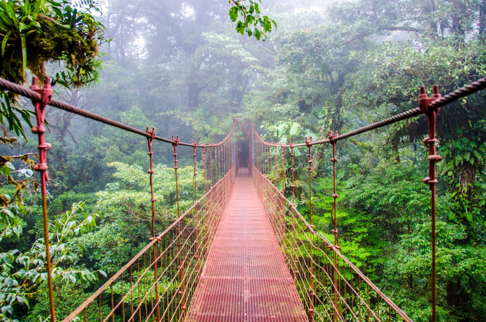 Costa Rica | Destination | Dragonfly Traveller