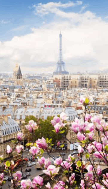 France | Destination | Dragonfly Traveller