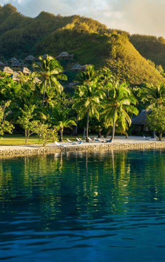 French Polynesian | Destination | Dragonfly Traveller