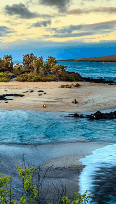 Galapagos | Destination | Dragonfly Traveller