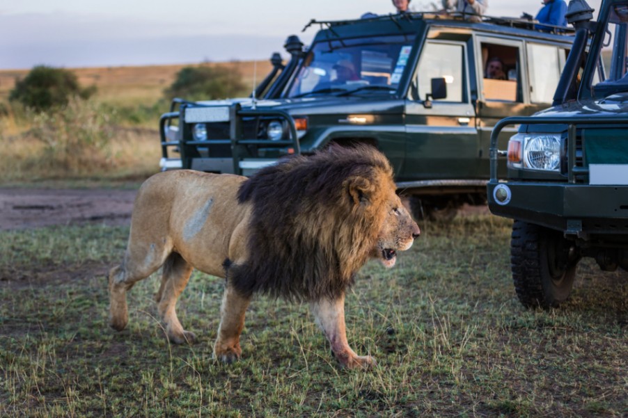 Kenya | Destination | Dragonfly Traveller