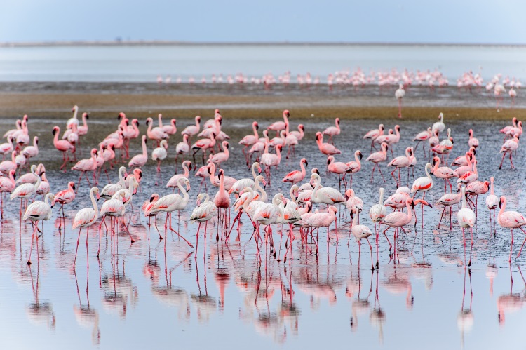 Namibia | Destination | Dragonfly Traveller