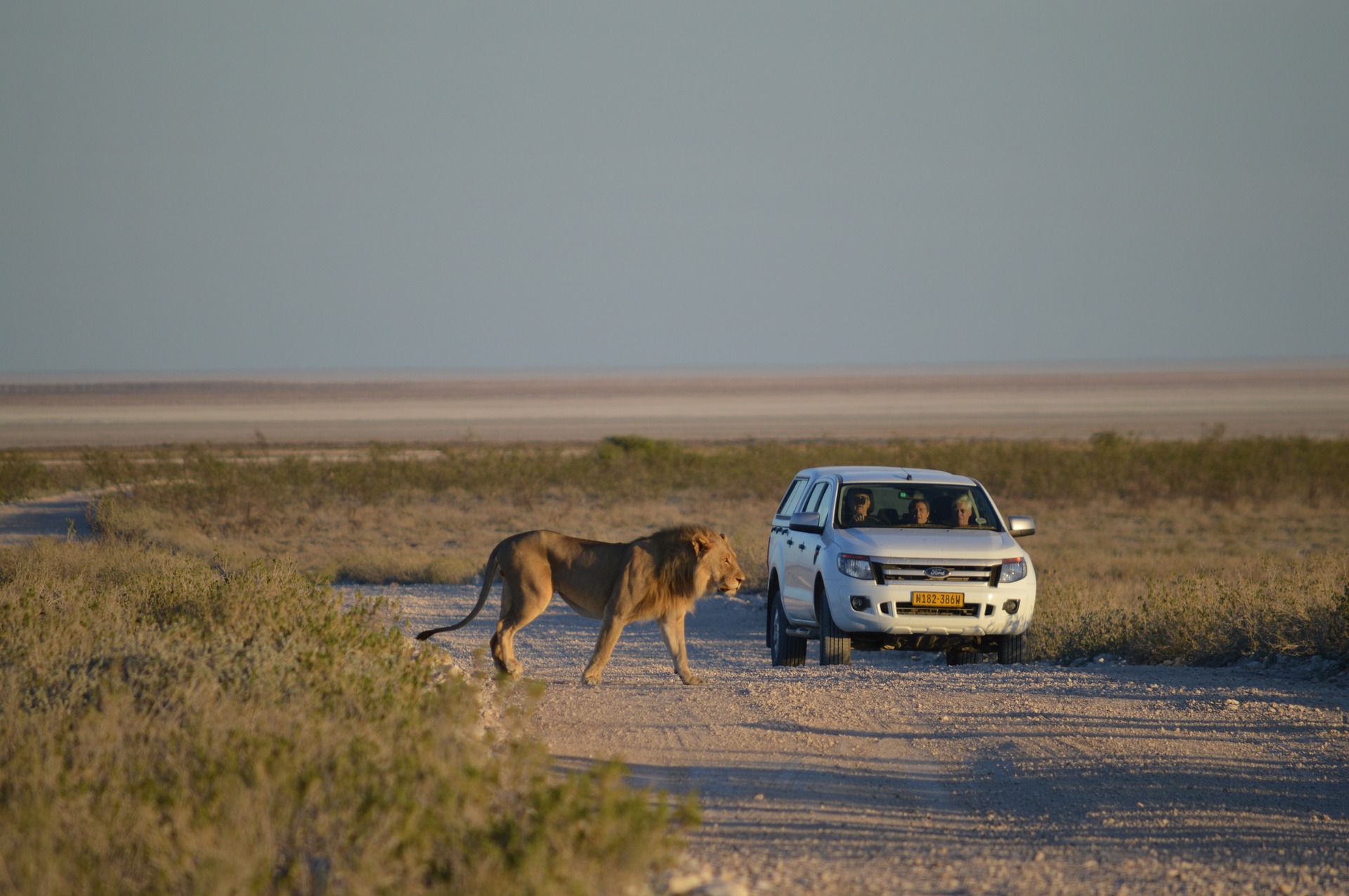 Namibia | Destination | Dragonfly Traveller