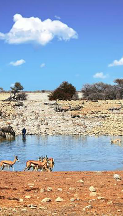 Namibia | Destination | Dragonfly Traveller