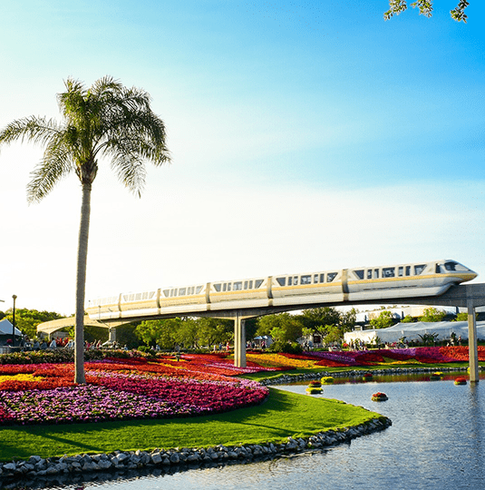 Orlando | Destination | Dragonfly Traveller