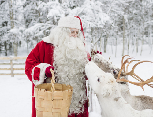 Planning a Family Trip to Lapland