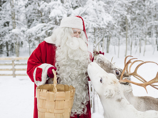 Planning a Family Trip to Lapland | Blogs | Dragonfly Traveller