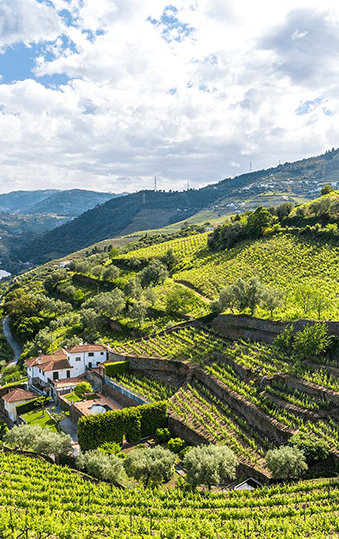 Portugal | Destination | Dragonfly Traveller