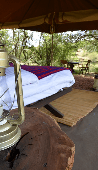 Safaris | Holiday Types | Dragonfly Traveller