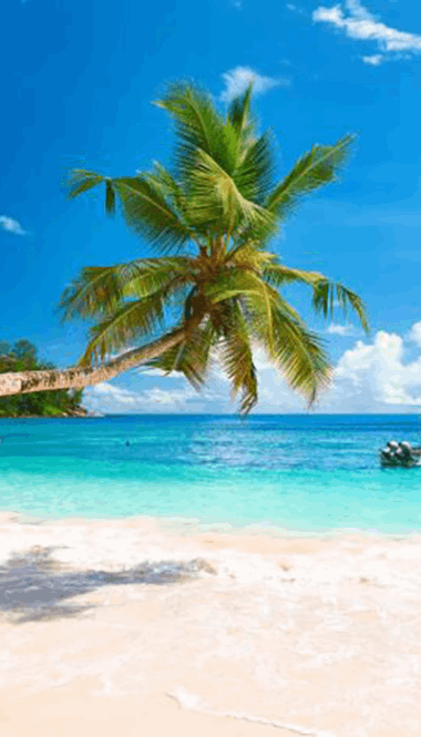Seychelles | Destination | Dragonfly Traveller