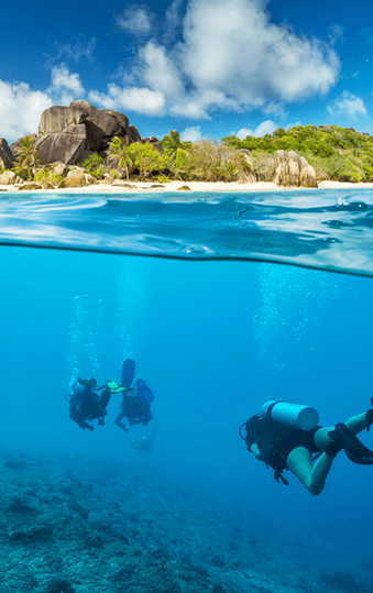 Seychelles | Destination | Dragonfly Traveller