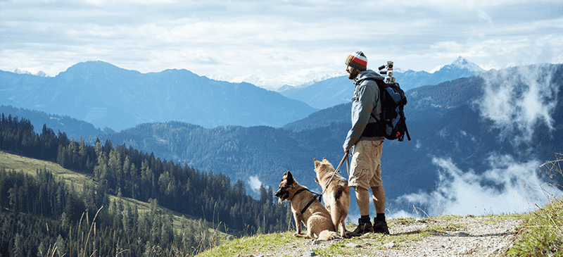 5 Travel Experiences You Can Share with Your Furry Friend | Blogs | Dragonfly Traveller