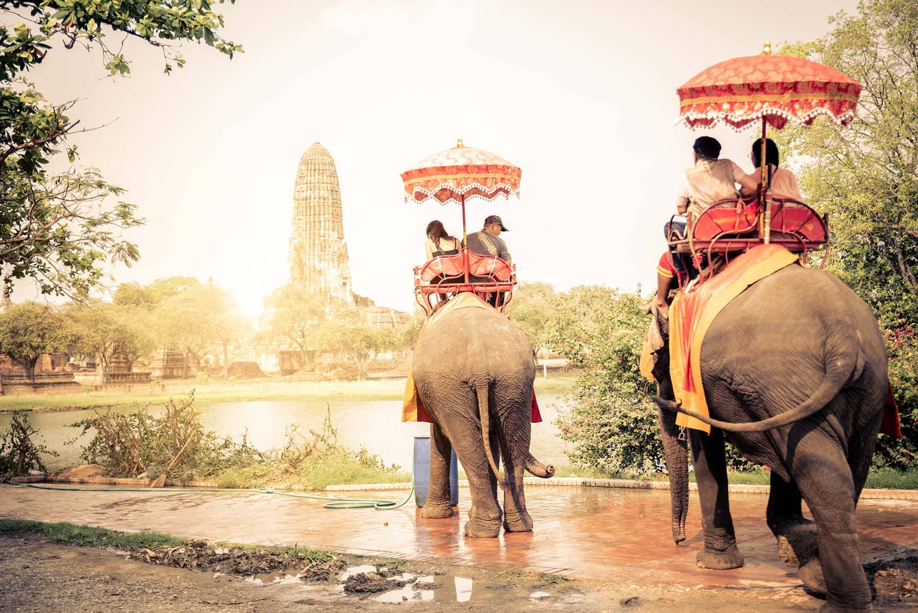 Thailand | Destination | Dragonfly Traveller