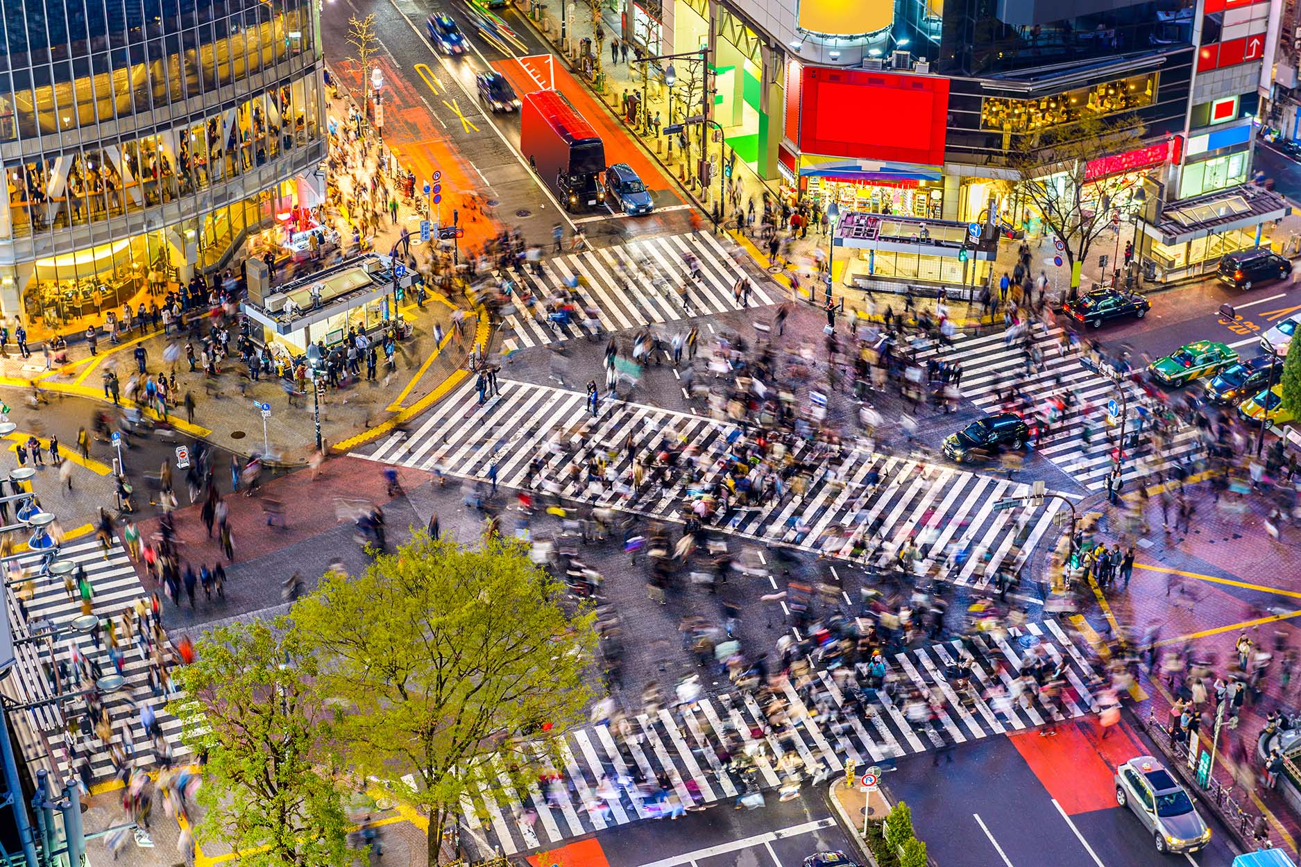 Tokyo | Destination | Dragonfly Traveller