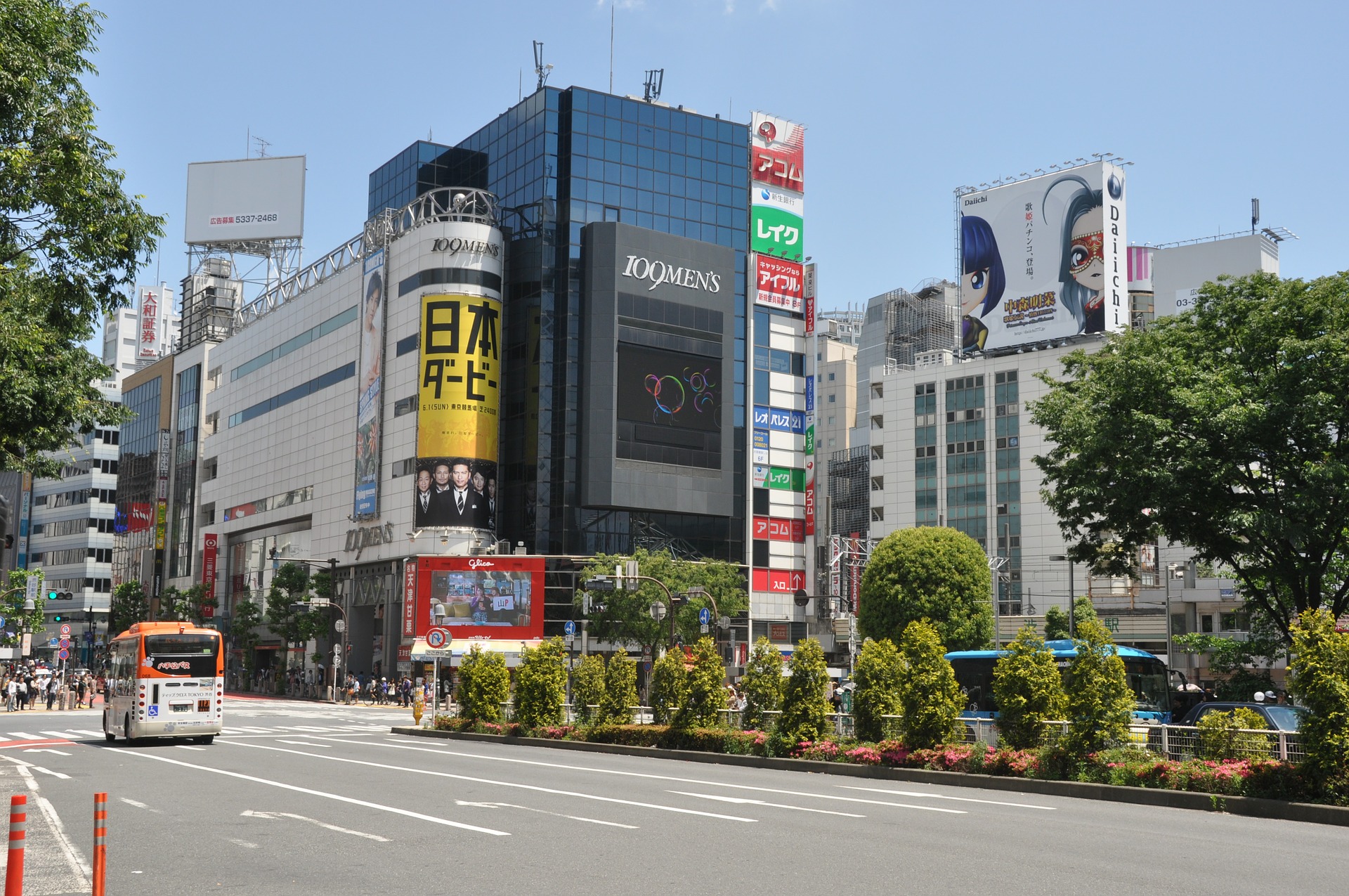 Tokyo | Destination | Dragonfly Traveller