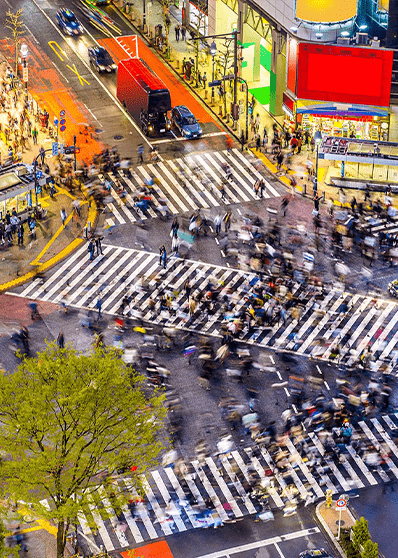 Tokyo | Destination | Dragonfly Traveller