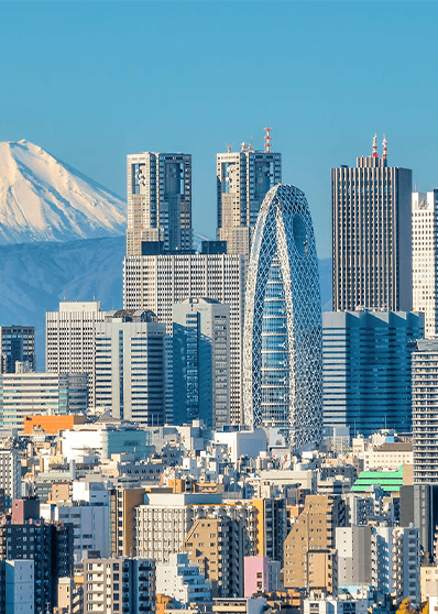 Tokyo | Destination | Dragonfly Traveller