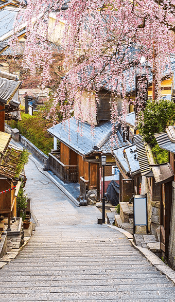 Japan | Destination | Dragonfly Traveller