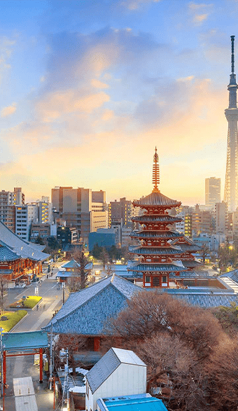 Tokyo | Destination | Dragonfly Traveller